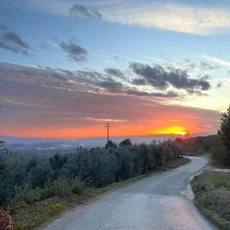 Le Di Anita In Toscana - * Arezzo