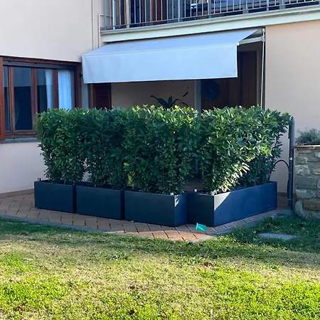 Le Di Anita In Toscana - *