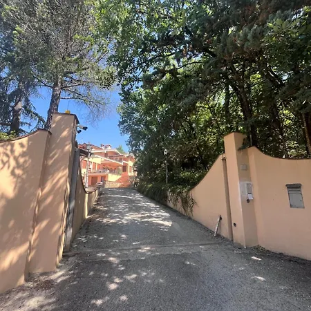 Le Di Anita In Toscana - * Arezzo