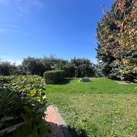 Le Di Anita In Toscana - *