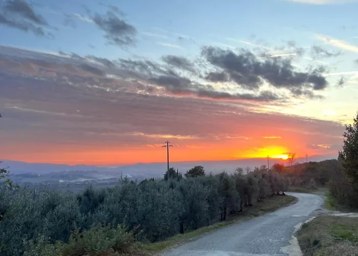 Le Di Anita In Toscana - * Arezzo