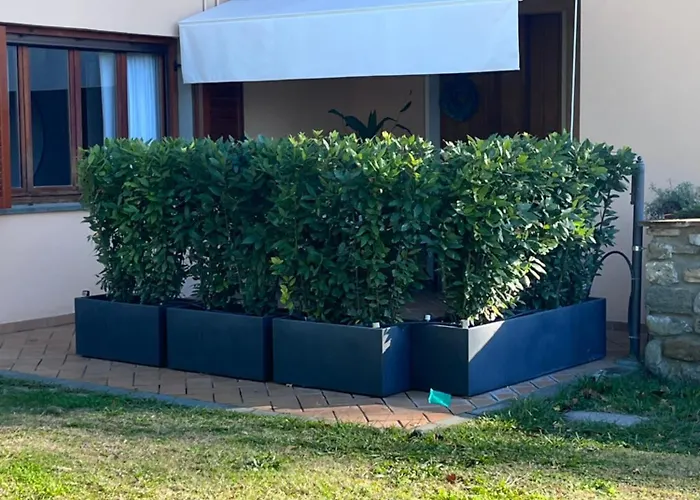 Le Di Anita In Toscana - *