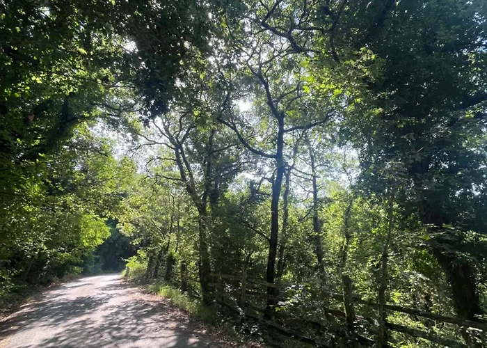 Le Di Anita In Toscana - Сasa de vacaciones *