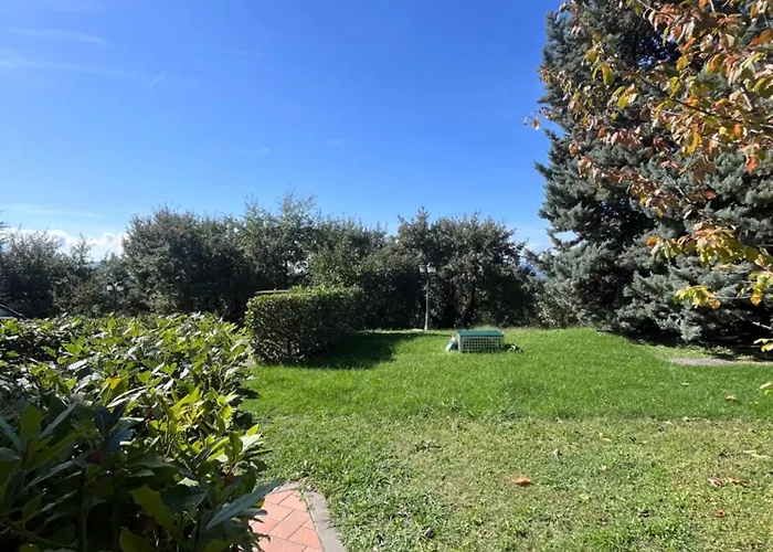 Le Di Anita In Toscana - *